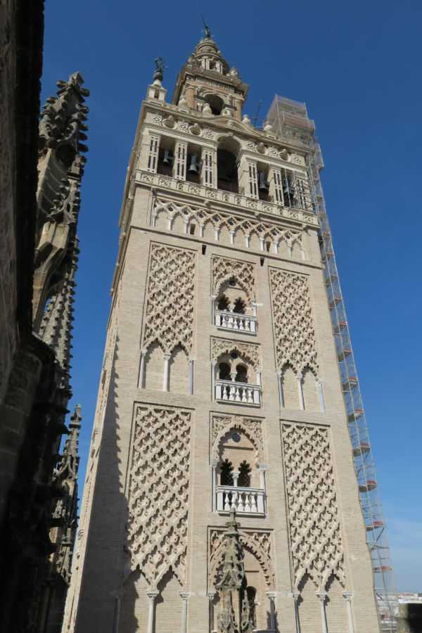 Catedral de Sevilla - Web Oficial // Seville Cathedral - Official Website|Catedral de Sevilla - Web Oficial // Seville Cathedral - Official Website