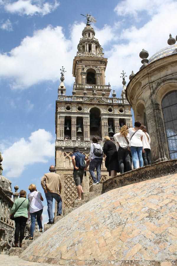 Patriótico Activo Cambiable Gran éxito de las visitas a las Cubiertas - Web Oficial Catedral de Sevilla